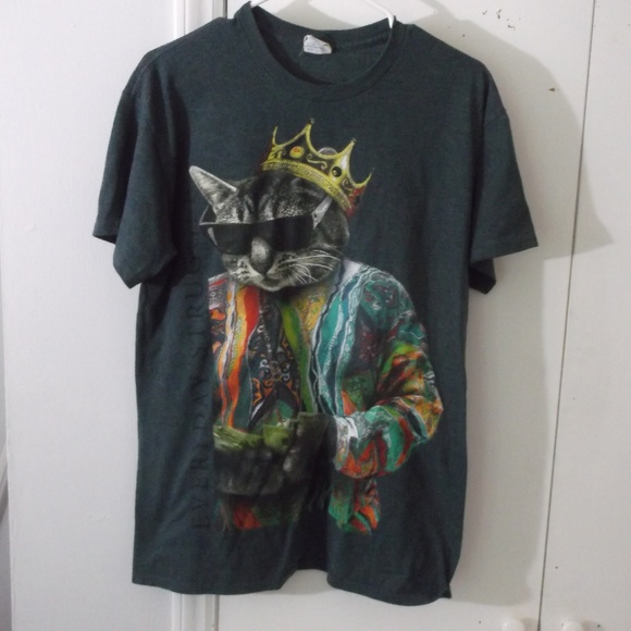 everyday struggle cat shirt